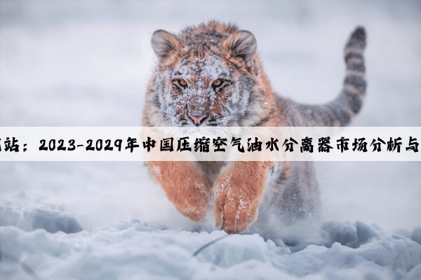 Kaiyun官方网站：2023-2029年中国压缩空气油水分离器市场分析与行业调查报告